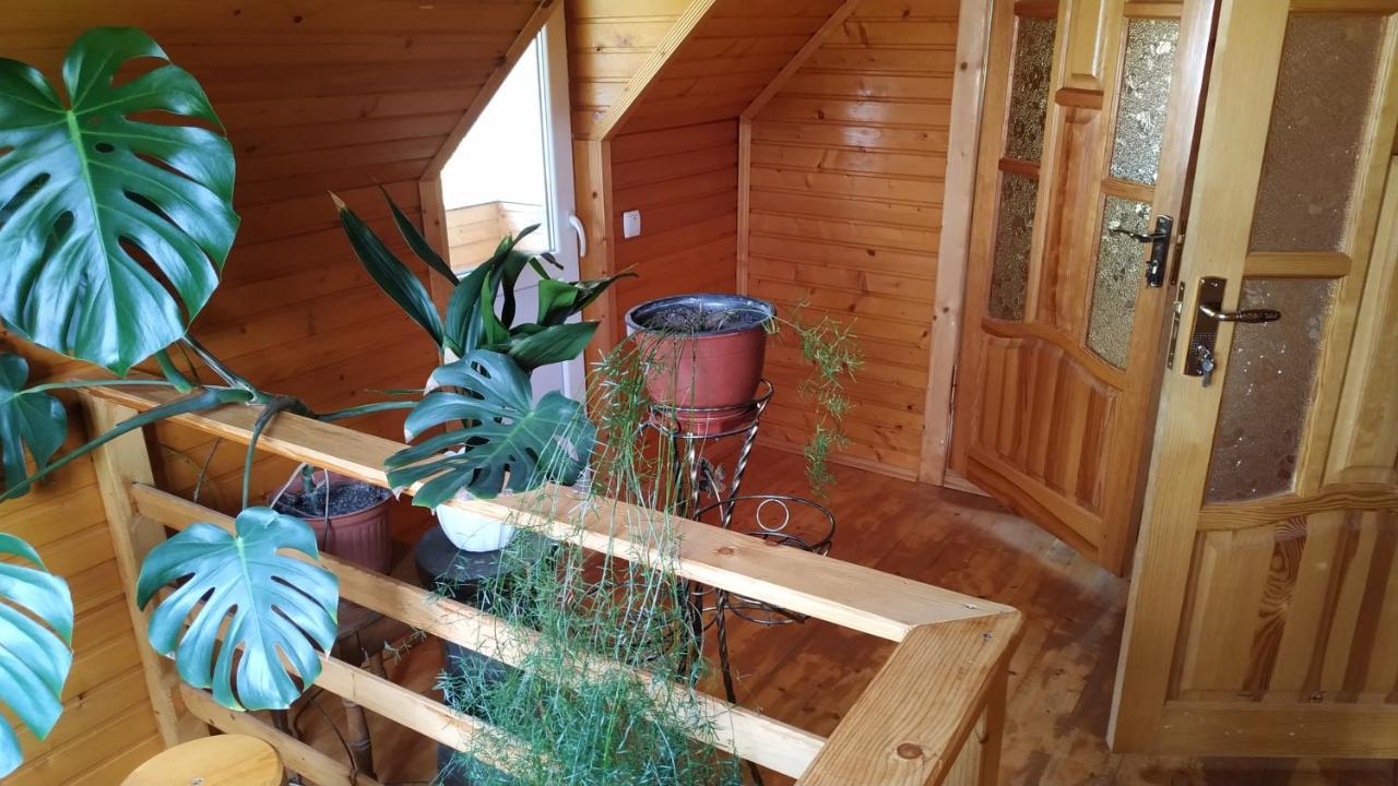 Будинок відпочинку хатина на порташі